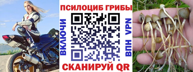 Галлюциногенные грибы GOLDEN TEACHER  Оренбург 